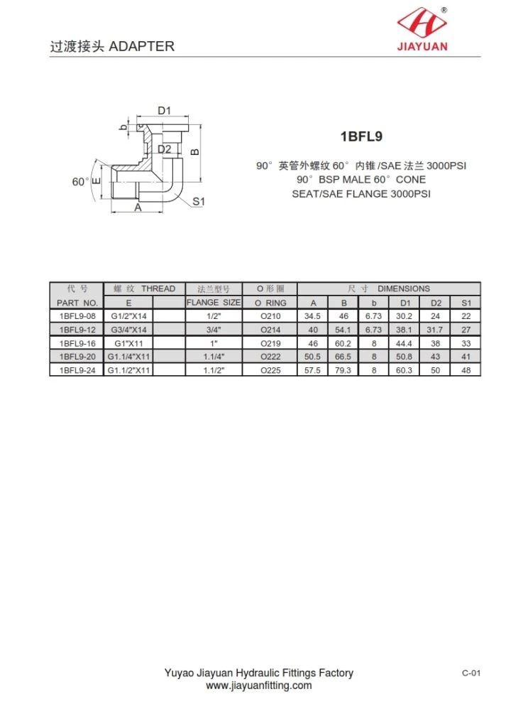 SAE 3000 Flange Luj Tshib BSP 60 Adapter