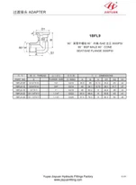 SAE 3000 Flange Luj Tshib BSP 60 Adapter