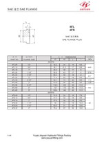 SAE Flange O-ring Plug